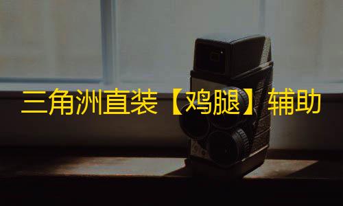 三角洲直装【鸡腿】辅助